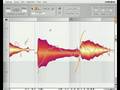 Celemony Melodyne Plugin - 2