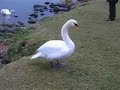At Lake Toya At Lake Toya