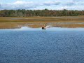 Duck hunter boats with air cooled engines
