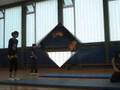 videos de just stunt it =)