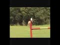 Belgian Horse Jumping