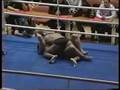 arben latifi finn fight 2
