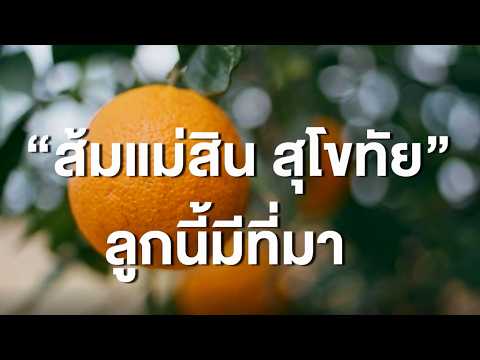 “ส้มแม่สิน สุโขทัย” ลูกนี้มีที่มา