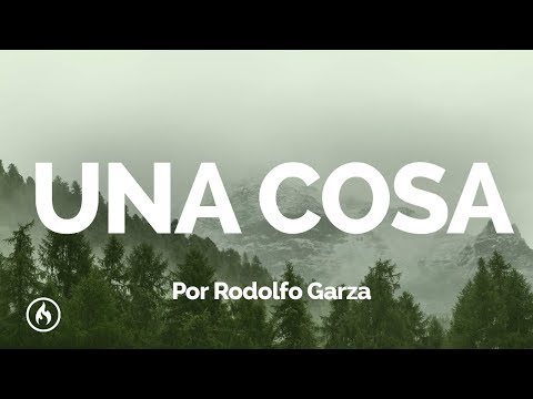 Ver video