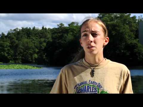 how to harvest chestnuts