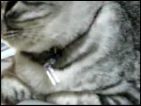 イフペンダント効果・口コミ・評判５