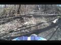clip video Plankeye B.c.