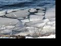 Limburger Cheese Ice