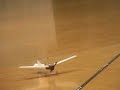 antoinette ep r/c plane