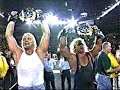curt hennig and barry windham theme