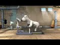 �� ����� �� �������� ���� Adma1.Com Machine