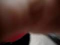 videos de pajaro ~ peez ~ pisha