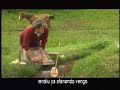 canci�n del grupo asturiano 