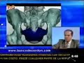 Celulas madre de cordón umbilical