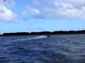 le jibe en surf avec et sans straps