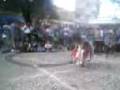 videos de Arreios de Vento