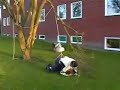 Selvmord på gata