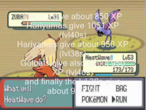 how to level up quick in pokemon emerald