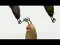 Singing and dancing Slugs - Souris city