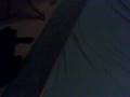videos de Jaro und Benny