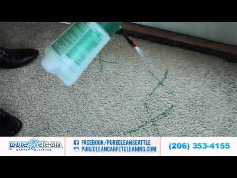 how to eliminate odors from carpet