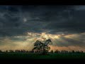 from 