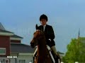 Hunter/Jumper Hunter/Jumper