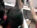 Trencito con Frige Trencito con Frige