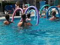 CIMG0695.MOV