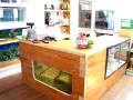 Onetangi Pet Supplies.mov
