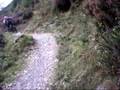 Brown Pants MTB - Machynlleth 2008 (Video 2)