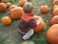 Lathan in Pumpkin Patch 08