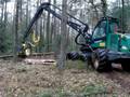 videos de MOV02483