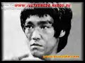 bruce lee precious lens collections