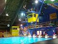 High diving with aaron gainers