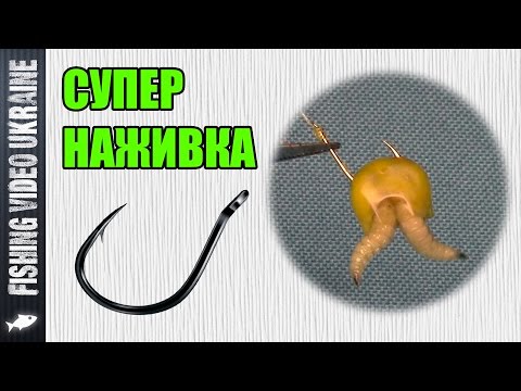 ловля на клипсу с опарышем ловля на клипсу с опарышем