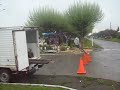 PASEO OBLIGATORIO DEL PRIMERO DE NOVIEMBRE.