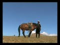 Mongolie la steppe mongole (MG-6) Mongolia ?????? ???