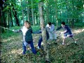 r�gis et ses copains abattent un arbre