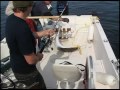 Halibut Fishing - Vancouver Island
