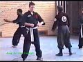 Kung fu toa simorgh  in netherland 02-2004/   