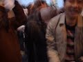 San Francisco Valentine\