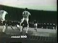 Cronicas de Nelson Rodrigues ( O Profeta Tricolor )