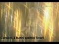 Canzone russa italianizzata - Alla Pugacheva Nado Zhe