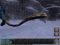 Jorm Fight
