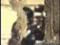 Web Dog Radio fmv of Skinny Puppy - Pro-Test