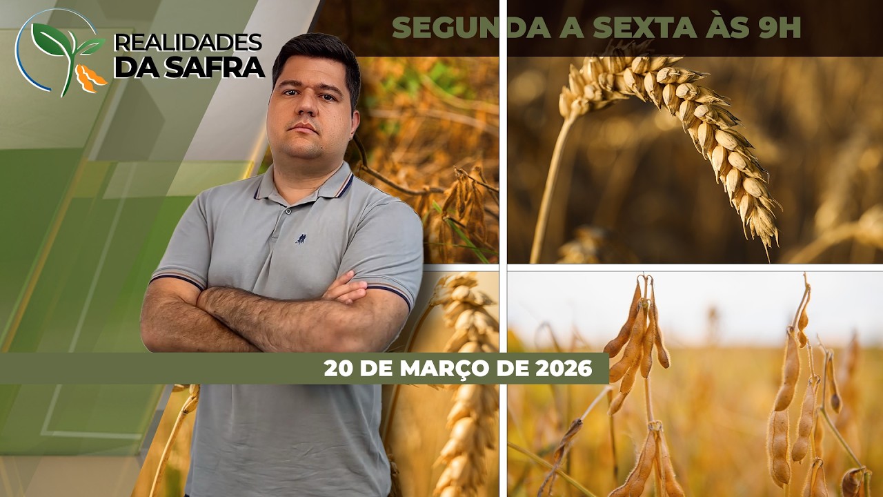 Chuva dificulta colheita da soja em Paracatu/MG e alta pressão de pragas no milho liga o alerta...