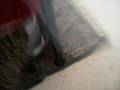 videos de Squeakers, Stella and Troy