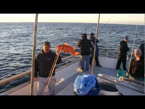 Gig fishing for Rock Fish