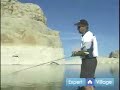 Advanced Fishing Tips : Using Buzz Bait for Fishing: Advanced Angling Techniques